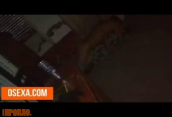 Узбек порно где узбечка стонет от боли на бетоном полу